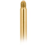 Goldenes Labret aus Titan mit Außengewinde auf weißem Hintergrund