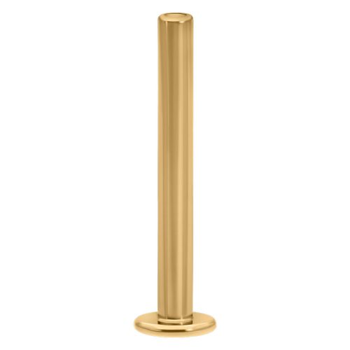 Goldenes Pushfit Labret, 7,0 mm lang, auf weißem Hintergrund