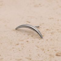 Silberner ovaler Titan-Aufsatz auf sandfarbenem Hintergrund