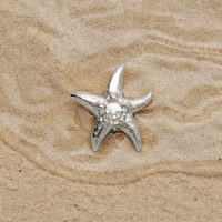 Silberner Seestern-Aufsatz mit Kristall auf Sand