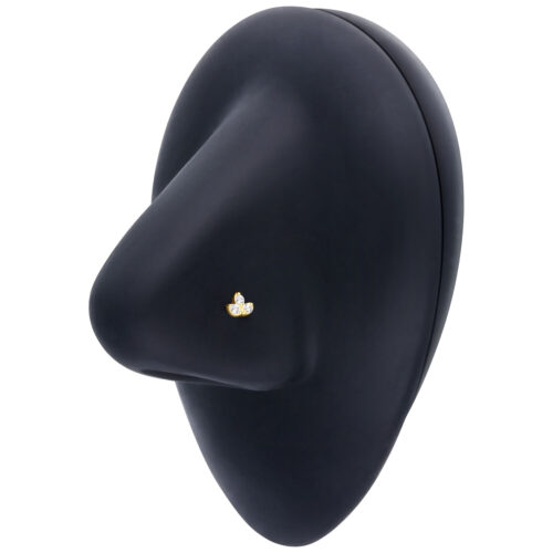 Schwarze Nase mit einem goldenen Lotus-Zirkonia-Nasenstecker, vor weißem Hintergrund