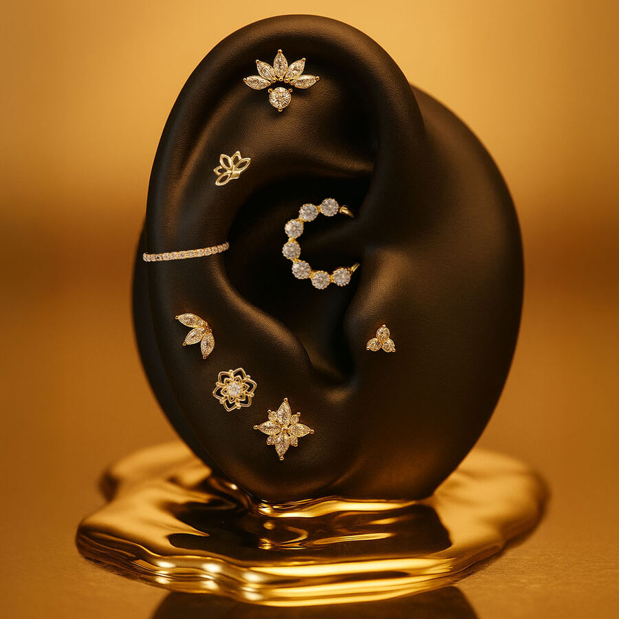 0212202501